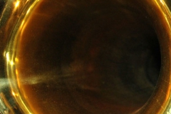 1035_gross