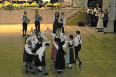 1176_gross