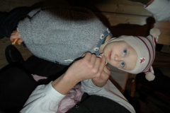 1186_gross