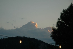 2121_gross