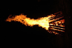 2129_gross