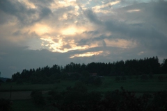 2136_gross
